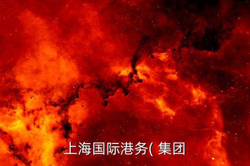上海國際港務( 集團