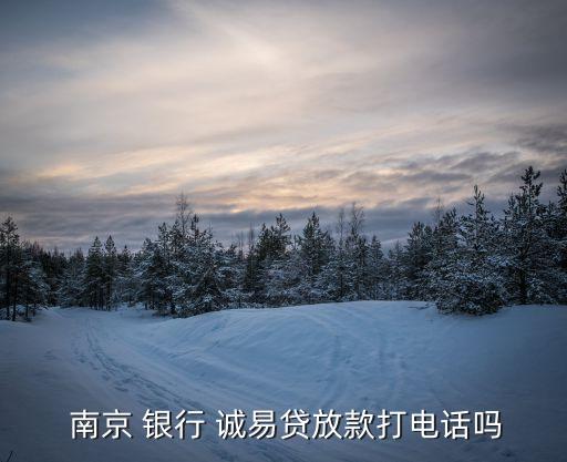  南京 銀行 誠(chéng)易貸放款打電話嗎