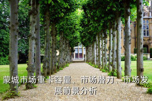 蒙城市場重卡容量、市場潛力、市場發(fā)展前景分析