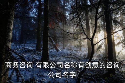 商務咨詢 有限公司名稱有創(chuàng)意的咨詢公司名字