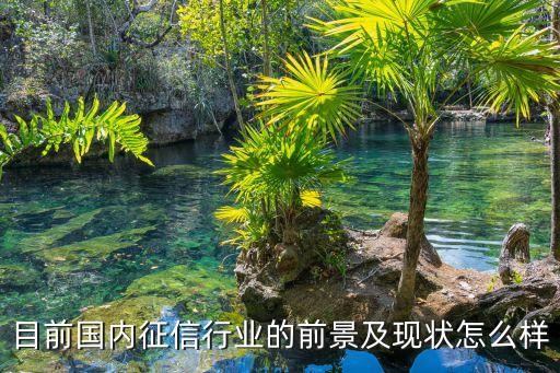 目前國(guó)內(nèi)征信行業(yè)的前景及現(xiàn)狀怎么樣