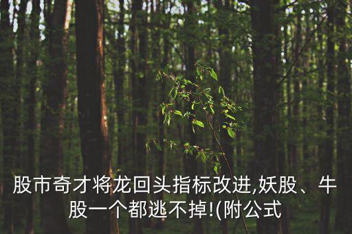 股市奇才將龍回頭指標(biāo)改進(jìn),妖股、牛股一個(gè)都逃不掉!(附公式