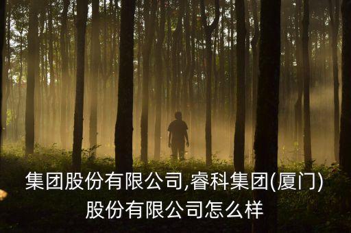 睿恒集團(tuán)股份有限公司,?？萍瘓F(tuán)(廈門)股份有限公司怎么樣
