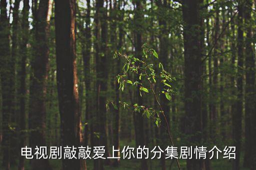 上海子望投資合伙企業(yè),上?？狄藰蛲顿Y咨詢合伙企業(yè)