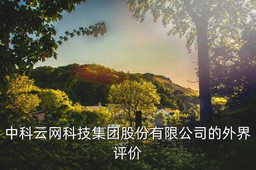 中科云網(wǎng)科技集團(tuán)股份有限公司的外界評價(jià)