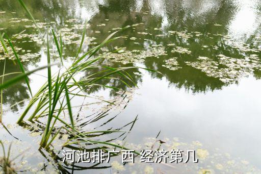 河池排廣西 經(jīng)濟(jì)第幾