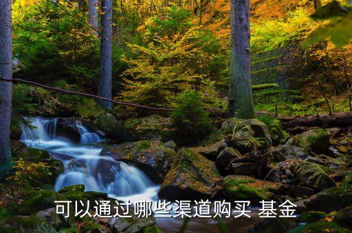 可以通過(guò)哪些渠道購(gòu)買(mǎi) 基金