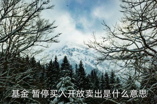  基金 暫停買(mǎi)入開(kāi)放賣(mài)出是什么意思
