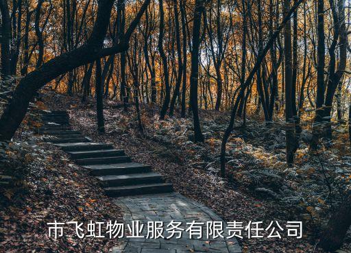 郴州市飛虹物業(yè)服務有限責任公司