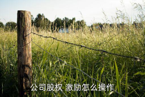 公司股權 激勵怎么操作