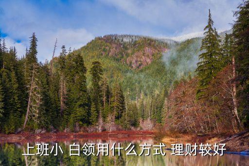 如何白領(lǐng)在線理財(cái)投資,白領(lǐng)在線基金理財(cái)平臺
