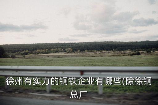 徐州有實(shí)力的鋼鐵企業(yè)有哪些(除徐鋼總廠(chǎng)