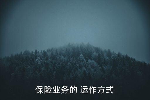 保險業(yè)務(wù)的 運作方式