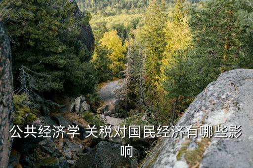 公共經(jīng)濟學(xué) 關(guān)稅對國民經(jīng)濟有哪些影響