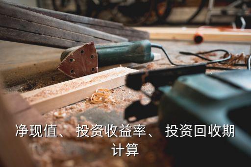 凈現(xiàn)值、 投資收益率、 投資回收期計(jì)算