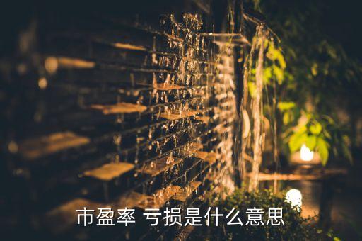 股票市盈動(dòng)虧損