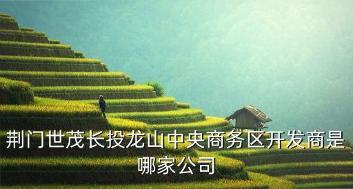 荊門世茂長投龍山中央商務(wù)區(qū)開發(fā)商是哪家公司