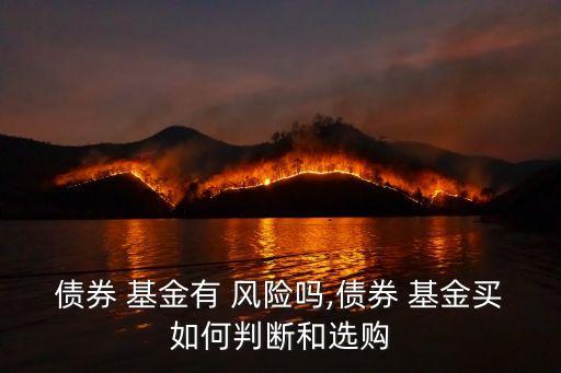 風險投資基金能債權(quán)投資嗎