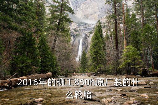 山東金宇工程機械制造有限公司,山東仲迪工程機械制造有限公司