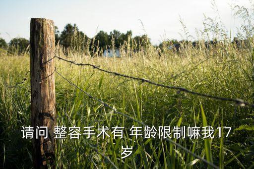 請問 整容手術有 年齡限制嘛我17歲