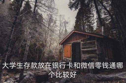 嘉實(shí)活錢包貨幣市場基金,嘉實(shí)貨幣市場基金e安全嗎可靠嗎