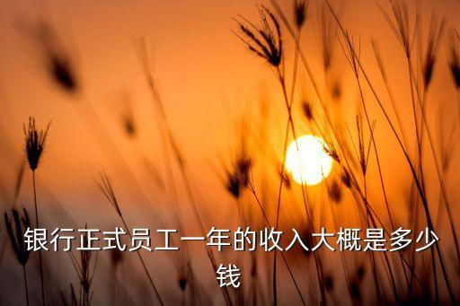  銀行正式員工一年的收入大概是多少錢(qián)
