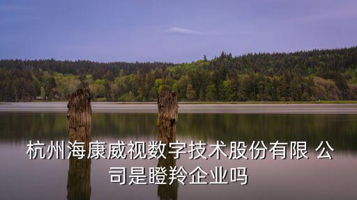  杭州?？低晹?shù)字技術(shù)股份有限 公司是瞪羚企業(yè)嗎
