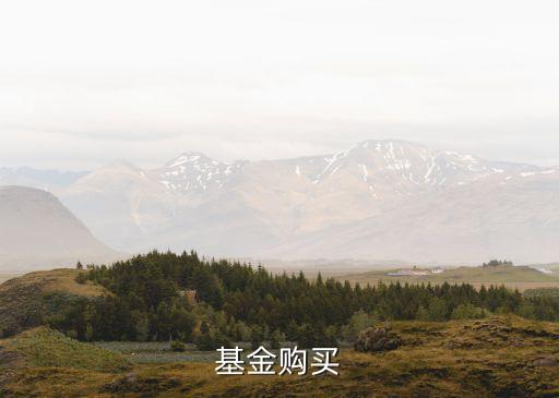 基金購(gòu)買(mǎi)