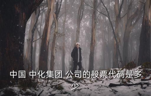 中國(guó) 中化集團(tuán) 公司的股票代碼是多少