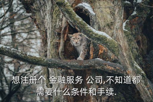 開金融投資公司,金融投資公司注冊(cè)條件