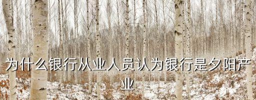 為什么銀行從業(yè)人員認(rèn)為銀行是夕陽產(chǎn)業(yè)