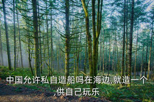 中國(guó)允許私自造船嗎在海邊,就造一個(gè),供自己玩樂(lè)