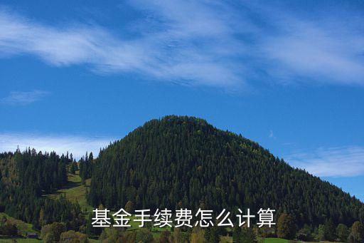  基金手續(xù)費(fèi)怎么計算