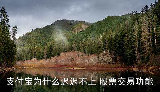 螞蟻寶什么時候推出股票,螞蟻集團(tuán)的股票什么時候可以買