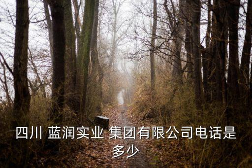 四川 藍(lán)潤實業(yè) 集團(tuán)有限公司電話是多少