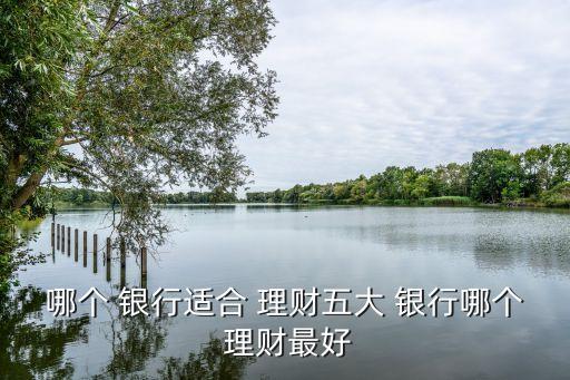 哪個(gè) 銀行適合 理財(cái)五大 銀行哪個(gè) 理財(cái)最好