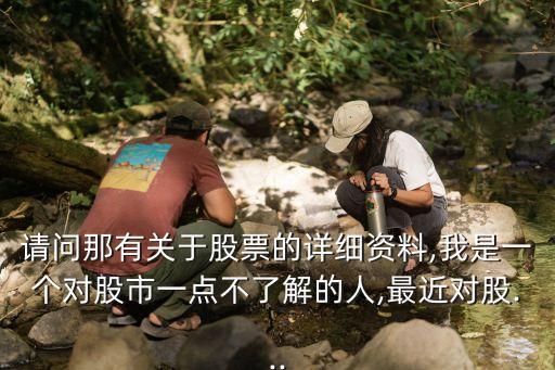 請問那有關(guān)于股票的詳細資料,我是一個對股市一點不了解的人,最近對股...