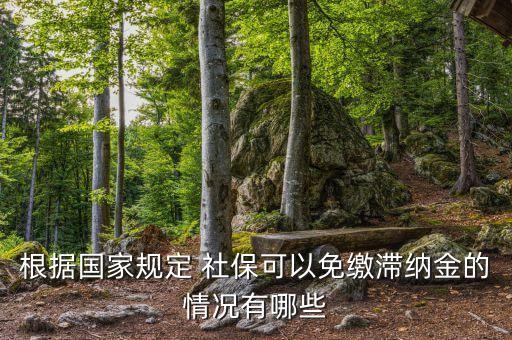 根據(jù)國(guó)家規(guī)定 社保可以免繳滯納金的情況有哪些