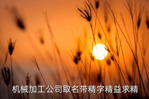 奇精機(jī)械股份有限公司董事長(zhǎng),寧?？h奇精機(jī)械股份有限公司