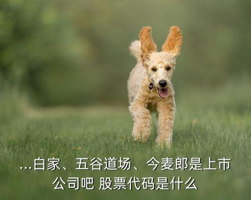 ...白家、五谷道場、今麥郎是上市公司吧 股票代碼是什么
