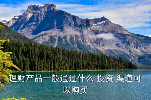 理財(cái)產(chǎn)品一般通過什么 投資 渠道可以購買