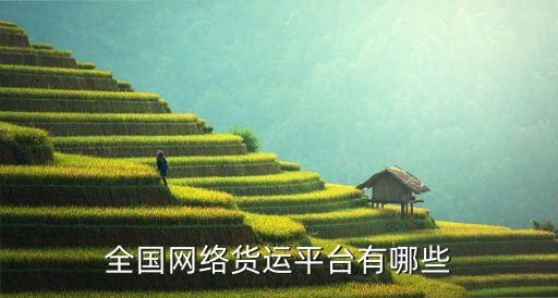 全國(guó)網(wǎng)絡(luò)貨運(yùn)平臺(tái)有哪些