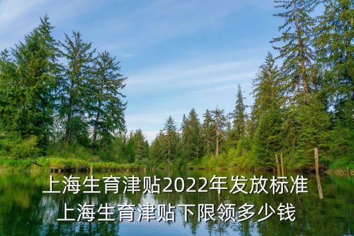  上海生育津貼2022年發(fā)放標準 上海生育津貼下限領(lǐng)多少錢