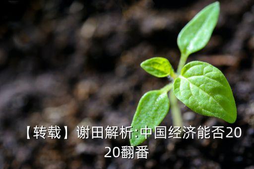 【轉(zhuǎn)載】謝田解析:中國經(jīng)濟能否2020翻番