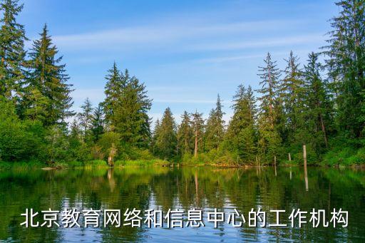  北京教育網(wǎng)絡和信息中心的工作機構