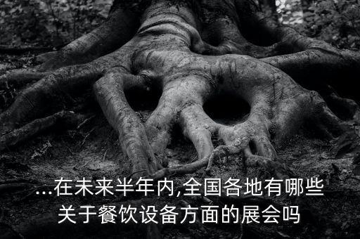 ...在未來半年內(nèi),全國(guó)各地有哪些關(guān)于餐飲設(shè)備方面的展會(huì)嗎
