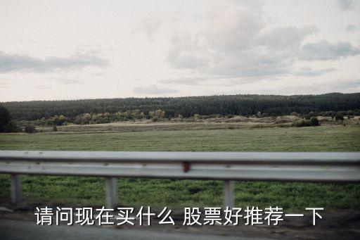 請(qǐng)問(wèn)現(xiàn)在買(mǎi)什么 股票好推薦一下