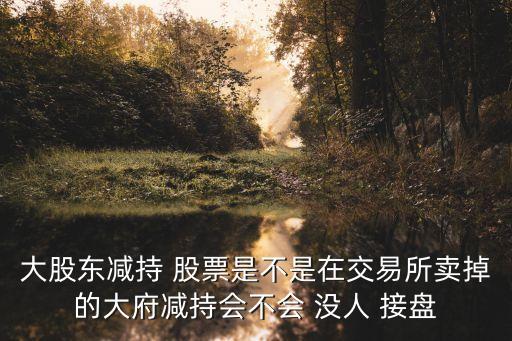 大股東減持 股票是不是在交易所賣(mài)掉的大府減持會(huì)不會(huì) 沒(méi)人 接盤(pán)