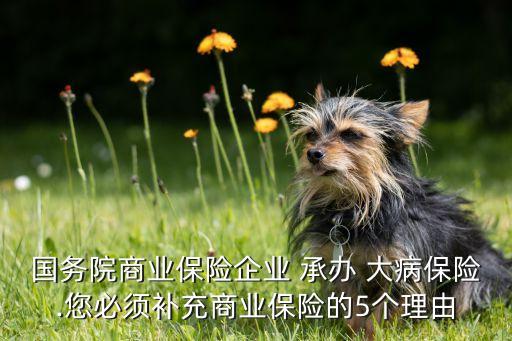 國務(wù)院商業(yè)保險企業(yè) 承辦 大病保險.您必須補(bǔ)充商業(yè)保險的5個理由