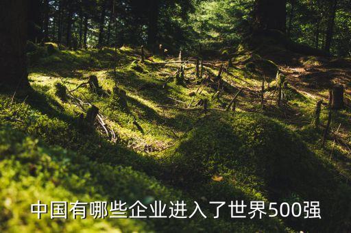 中國有哪些企業(yè)進入了世界500強